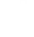 Area Stockist Program