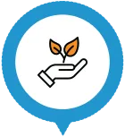 Scalability with Sustainability