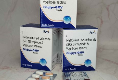 glujiyo-gmv (1) glujiyo-gmv (1)